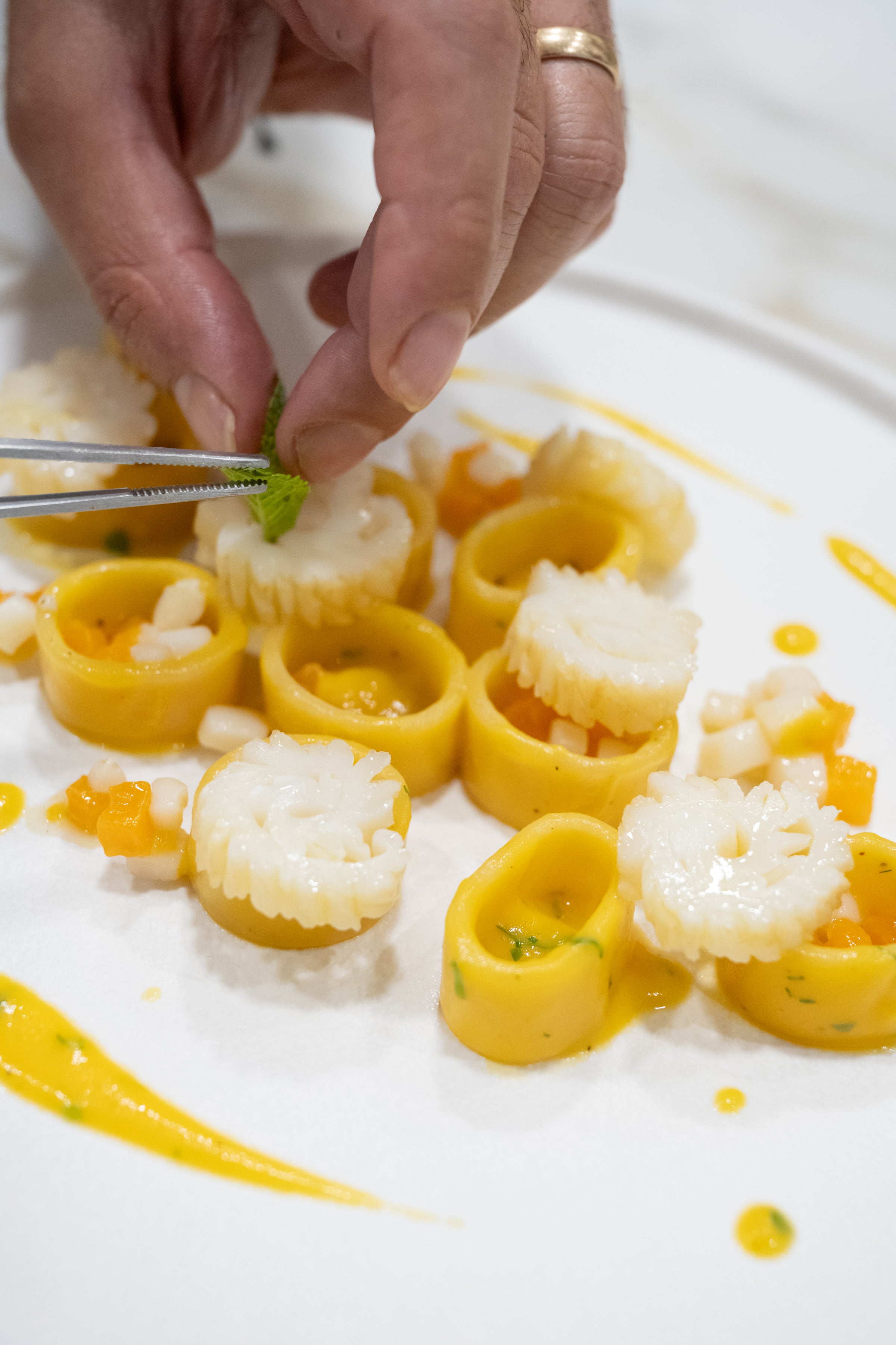 Calamaretti 